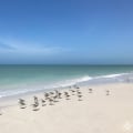 Discover the Hidden Gem of Clearwater Beaches: Caladesi Island State Park