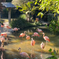 Discover the Hidden Gems of St. Petersburg's Sunken Gardens