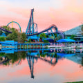 Discover the Thrills and Adventures of SeaWorld Orlando