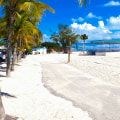 Higgs Beach: A Hidden Gem in Key West