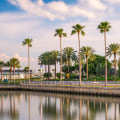 Top Things to Do in St. Petersburg, Florida