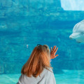 Discover the Wonders of Clearwater Marine Aquarium