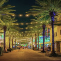 Discover the Vibrant Charm of Las Olas Boulevard in Fort Lauderdale