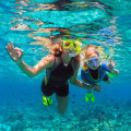 Discover the Best Snorkeling and Diving Spots in Florida Beach Cities