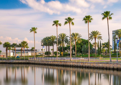 Top Things to Do in St. Petersburg, Florida