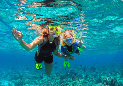 Discover the Best Snorkeling and Diving Spots in Florida Beach Cities